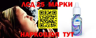 гидра Кимры