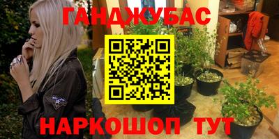 гидра Кимры