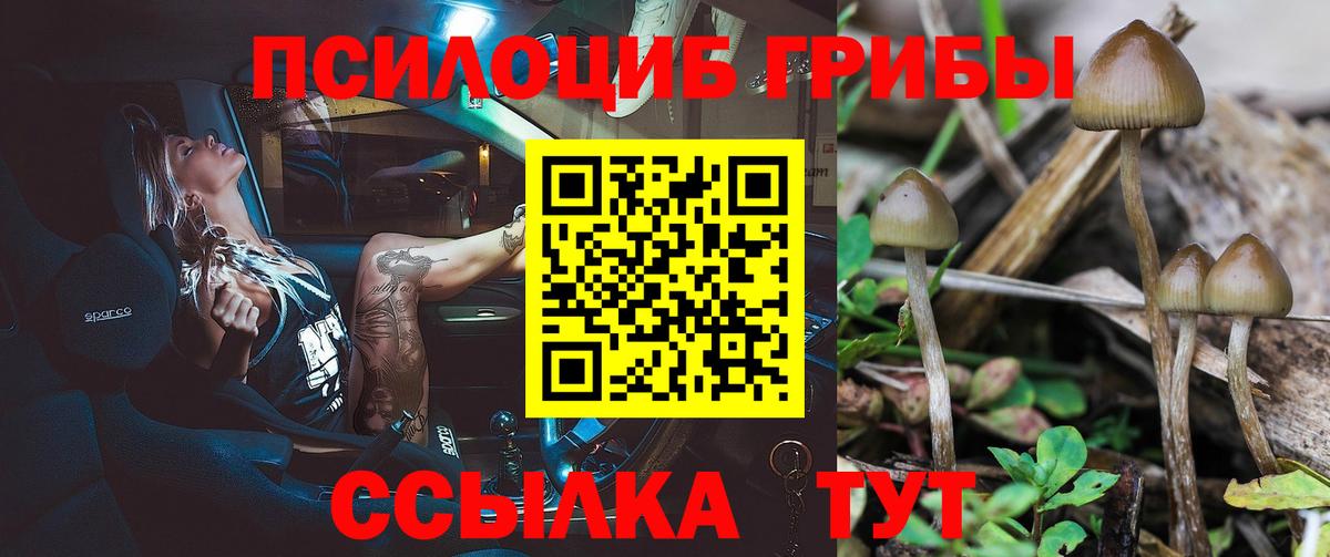 Псилоцибиновые грибы мицелий Краснокаменск